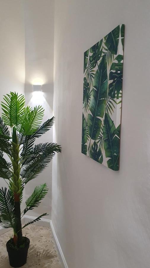 Casablanca Apartment เนเปิลส์ ภายนอก รูปภาพ